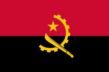 Angola due diligence investigation services