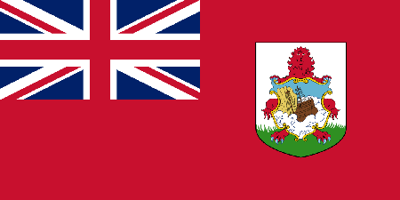 Bermuda due diligence investigation services