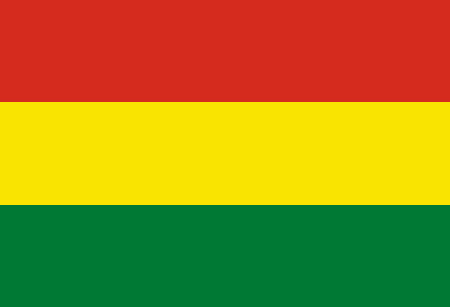Bolivia due diligence investigation services