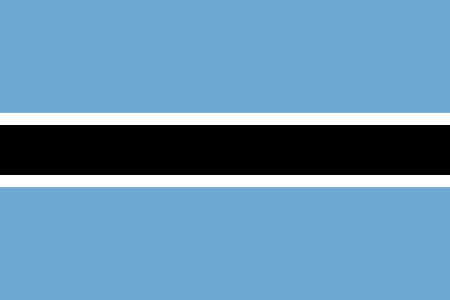 Botswana due diligence investigation services