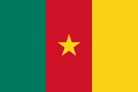 Cameroon due diligence investigation services