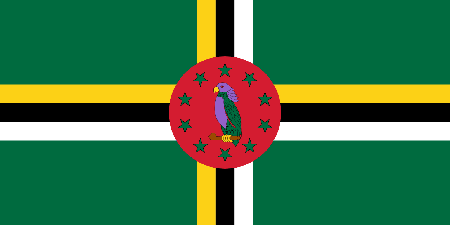 Dominica due diligence investigation services