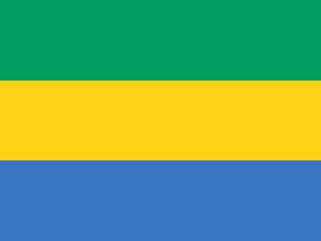 Gabon due diligence investigation services