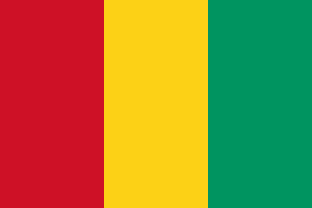 Guinea due diligence investigation services