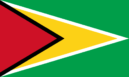 Guyana due diligence investigation services