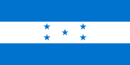 Honduras due diligence investigation services