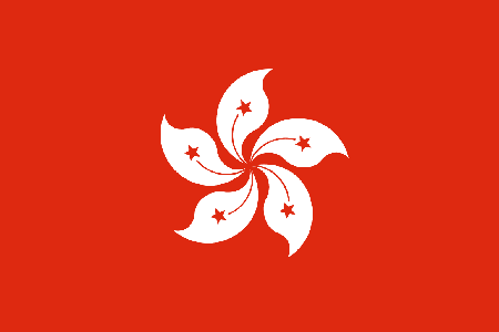 Hong Kong due diligence investigation services