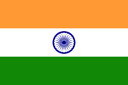 India due diligence investigation services