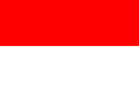 Indonesia due diligence investigation services