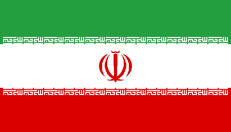 Iran due diligence investigation services