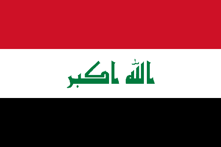 Iraq due diligence investigation services