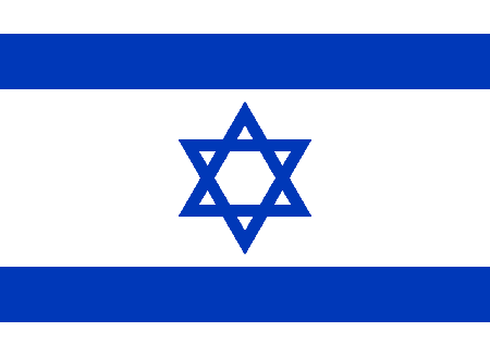 Israel due diligence investigation services