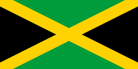 Jamaica due diligence investigation services