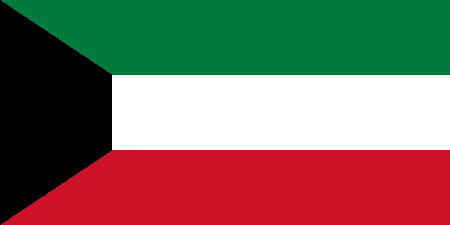 Kuwait due diligence investigation services