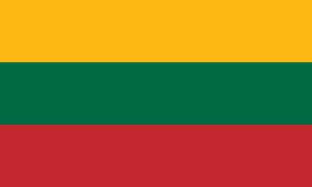 Lithuania due diligence investigation services