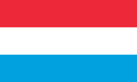 Luxembourg due diligence investigation services