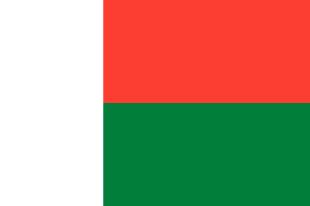Madagascar due diligence investigation services