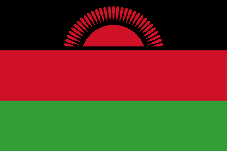 Malawi due diligence investigation services