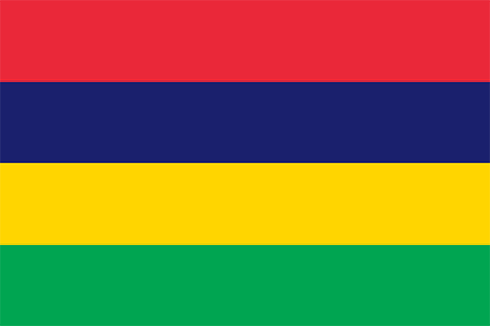 Mauritius due diligence investigation services