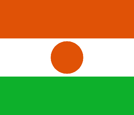 Niger due diligence investigation services