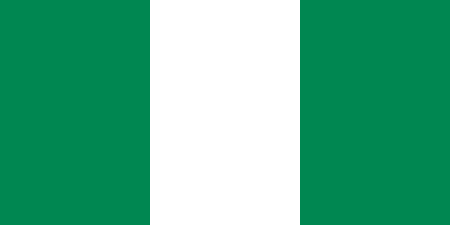 Nigeria due diligence investigation services