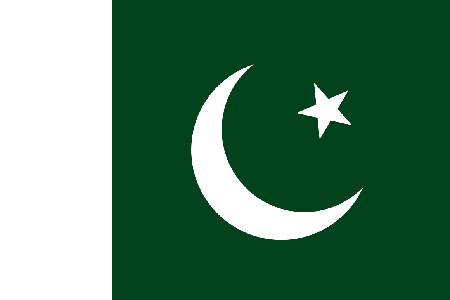 Pakistan due diligence investigation services