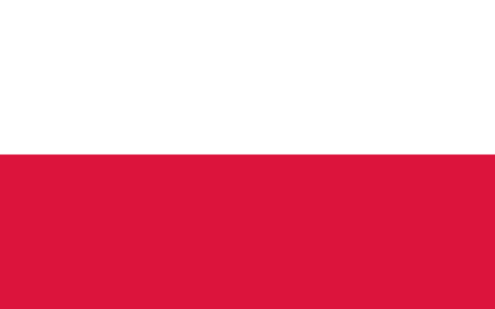 Poland due diligence investigation services