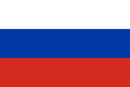 Russia due diligence investigation services