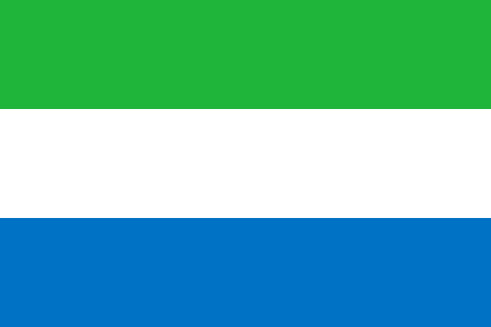 Sierra Leone due diligence investigation services