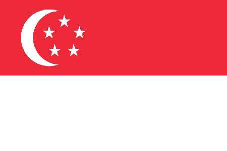 Singapore due diligence investigation services