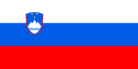Slovenia due diligence investigation services