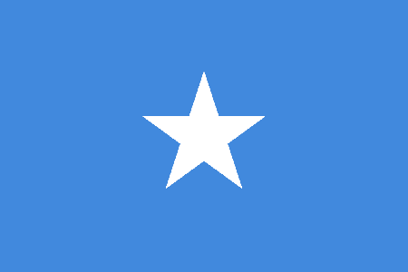 Somalia due diligence investigation services