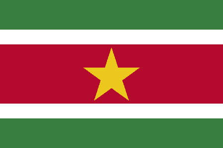 Suriname due diligence investigation services