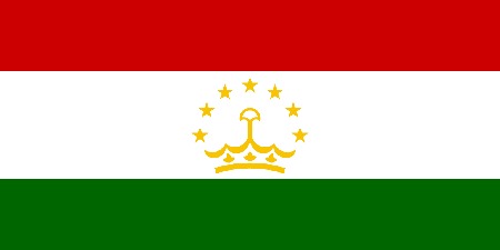 Tajikistan due diligence investigation services