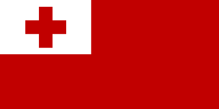 Tonga due diligence investigation services