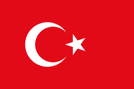 Turkiye due diligence investigation services