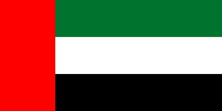 UAE due diligence investigation services