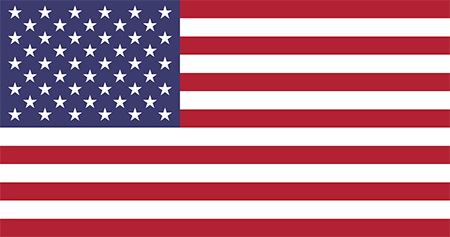 USA due diligence investigation services