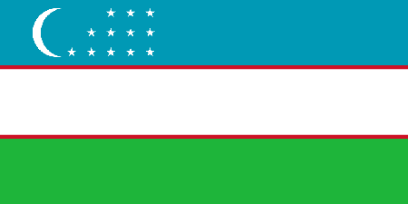 Uzbekistan due diligence investigation services