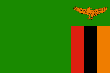 Zambia due diligence investigation services